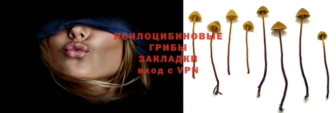 герыч Беломорск