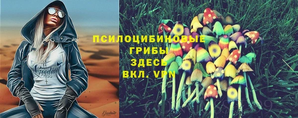 крисы Белокуриха