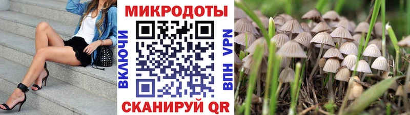 Псилоцибиновые грибы мухоморы  где можно купить наркотик  блэк спрут сайт  Краснозаводск 